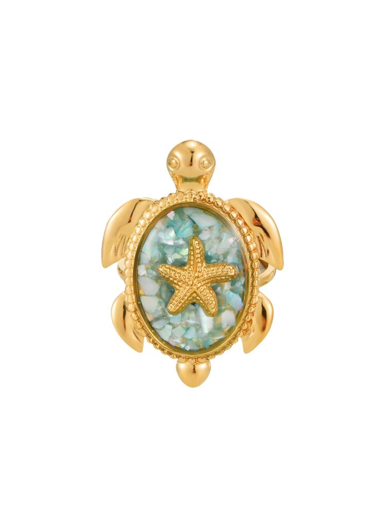 Turtle Summer Golden Ring product photo